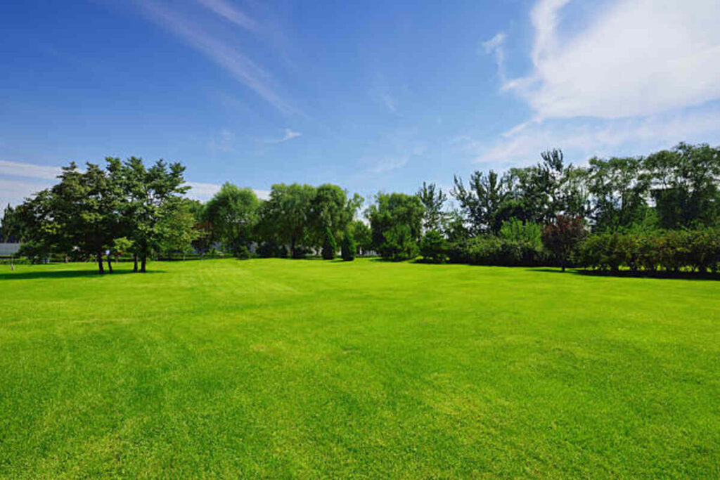 landscaping services mountain view