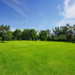landscaping services mountain view