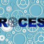 process server